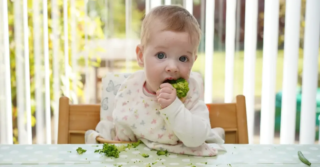 Baby eating brocolli, baby Led Weaning (BLW) style